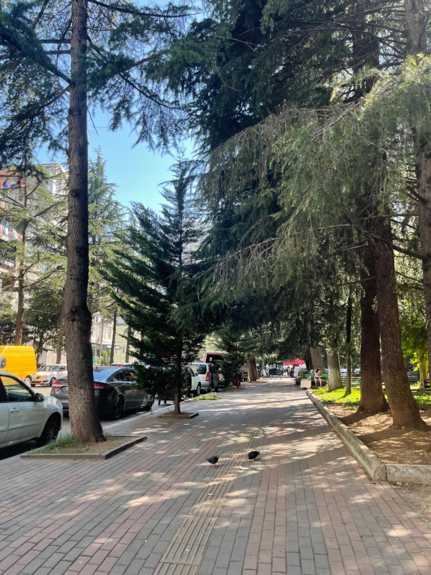 Green House Batumi Daire Dış mekan fotoğraf
